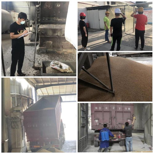 漳州柯恩嚴把原料關 用優質原料撬動精品飼料與化妝品供應鏈